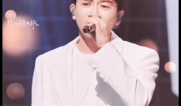 爆料苏有朋视频,揭秘明星幕后生活片段