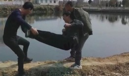 作茧自缚的我在线观看,揭秘“作茧自缚”的内心世界