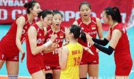 集训爆料女排视频大全,视频大全背后的拼搏与荣耀