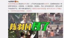 二级奶爸爆料视频全集,二级奶爸爆料视频全集精彩回顾