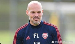 爆料埃梅里视频,揭秘足球幕后真相